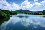 【肥沃土地上育成的美酒：莊の郷】