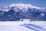 【越後清酒—來自雪國的「八海釀造」】
