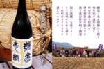 【彌彥村的愛國情懷 — 發現酵母彌彥櫻五號】